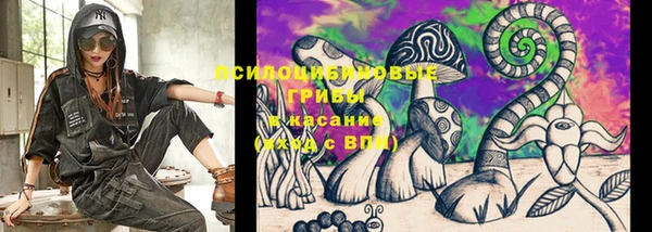 гидропоника Алзамай